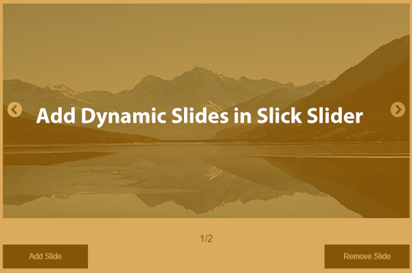 Synamic Slick SLider