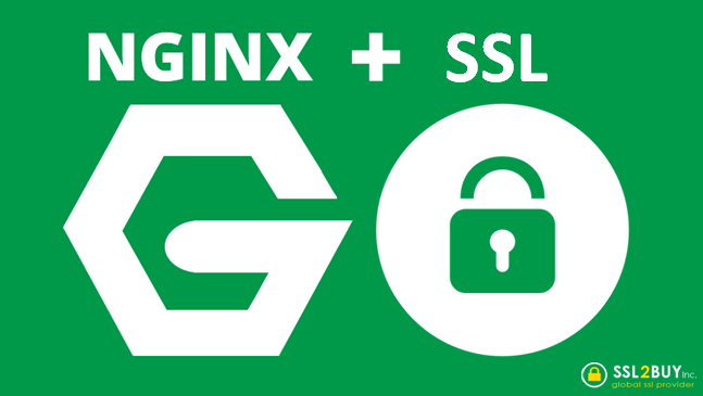 How to Install SSL on Your Website Using SSLS.com